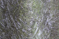 Keeran fibreglass roof work